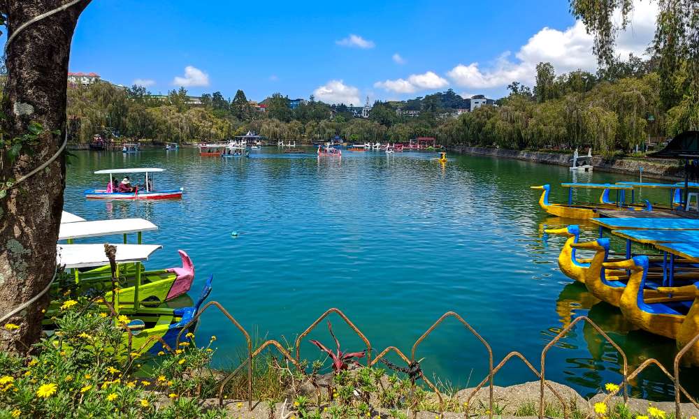 Ask Here - Baguio 3